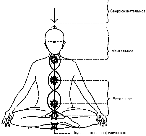 Chakras